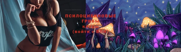 метадон Аркадак