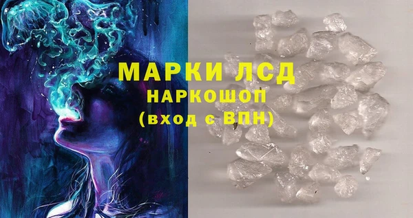 ПСИЛОЦИБИНОВЫЕ ГРИБЫ Арсеньев