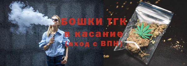 ПСИЛОЦИБИНОВЫЕ ГРИБЫ Арсеньев